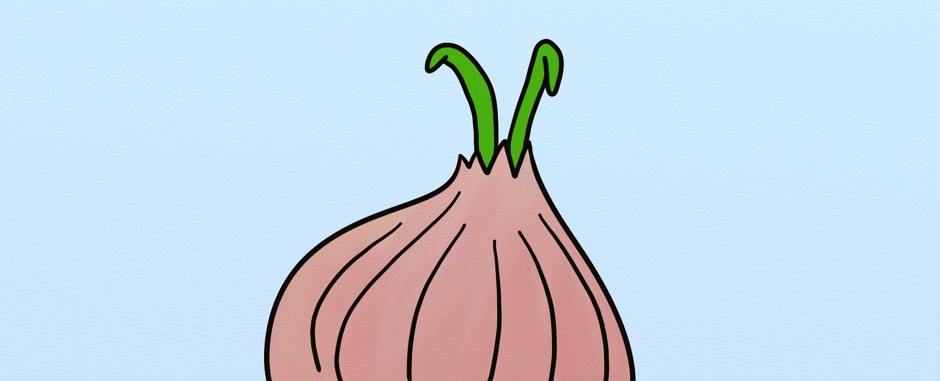 Such an onion